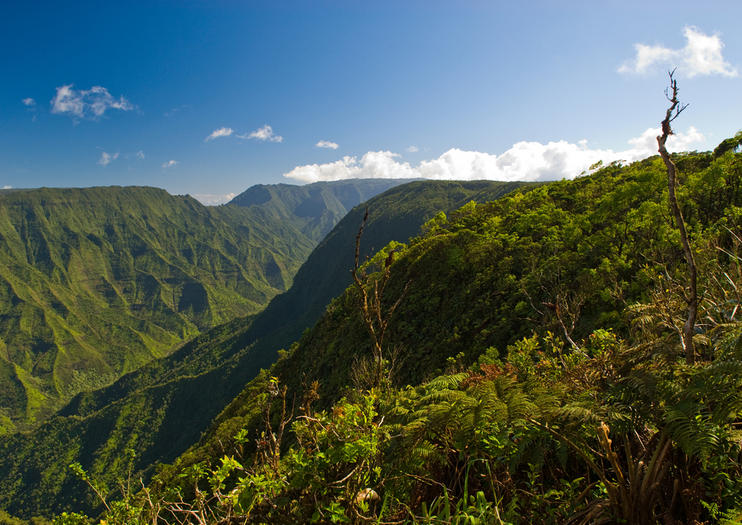 Koke'e State Park